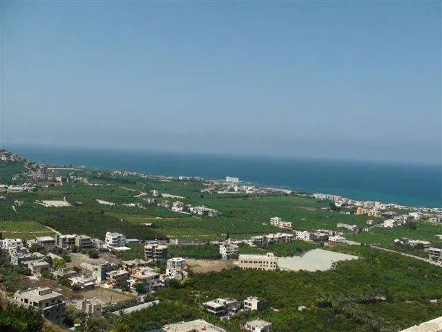 مطعم عروسة خيزران في الصرفند... بالصورة: فاتورة خيالية لمغترب قاربت الألف دولار!