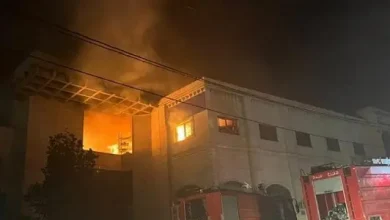 حريق النبطية