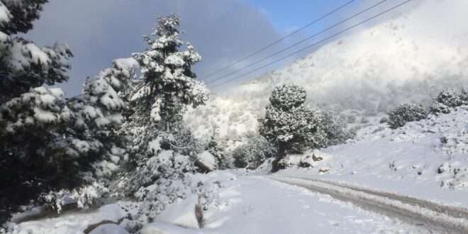طقس لبنان