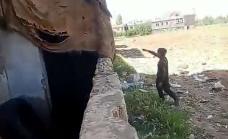 إحتراق 6 جراء على يد إبن العشر سنوات في بعلبك!!