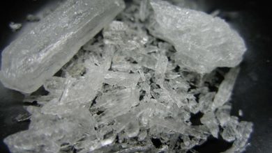 القبض على مُطرب مشهور