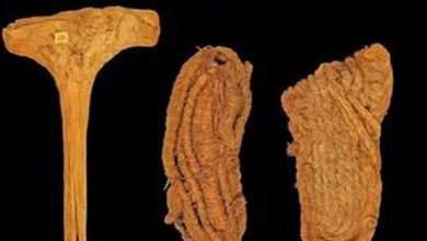 عمره 6 آلاف عام.. اكتشاف أقدم حذاء في أوروبا بكهف للخفافيش