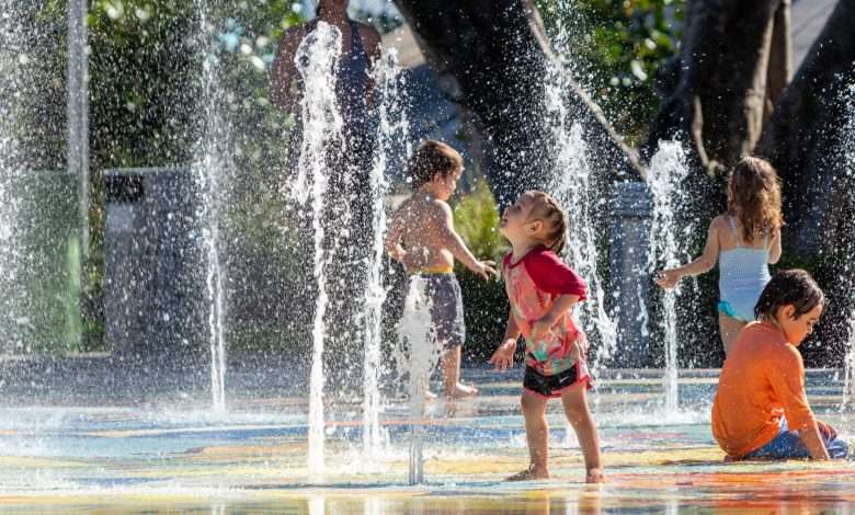 نهاية مأساوية لطفل... دخلت عدوى نادرة إلى أنفه أثناء اللعب في حديقة عامة!