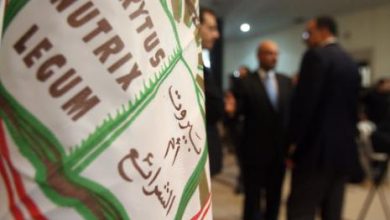 القوات تدخل معركة نقابة