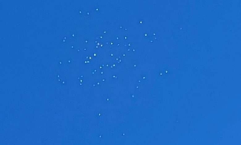 مناشير الجنوب