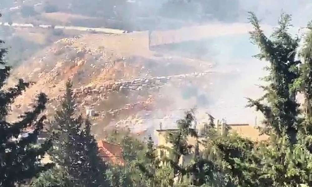 خسائر الزراعة بسبب العدوان: التعويض “معطّل”