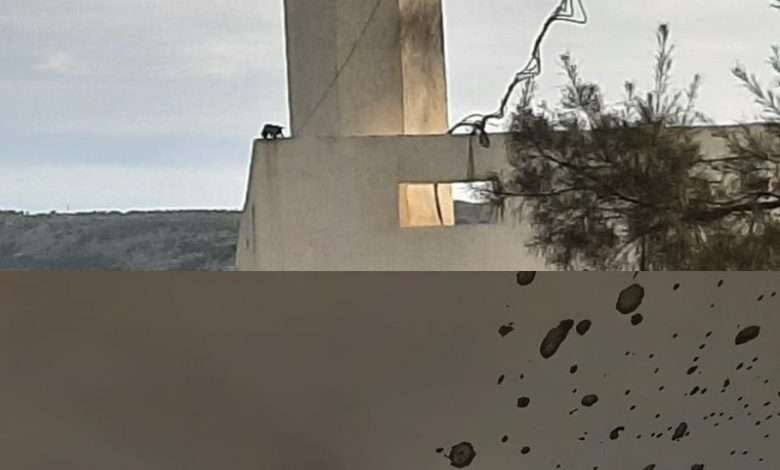 توغل 3 آليات معادية في منطقة خلة وردة