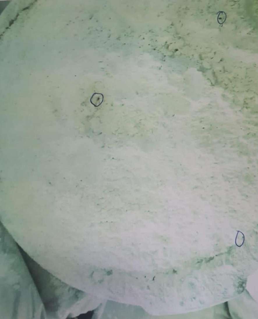 بالصور- فضلات جرذان في الطحين والسكر لدى محلّ للحلويات العربية في طرابلس!