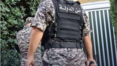 أمن الدولة