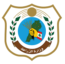 بعد وفاة الطفل ياسين، وزارة الزراعة تعلن عن اجتماع لاتخاذ تدابير تجاه الحيوانات الشاردة… فهل يكون القتل الرحيم الحل؟