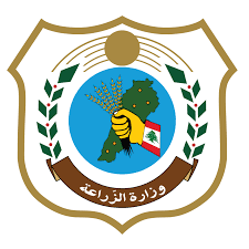 بعد وفاة الطفل ياسين، وزارة الزراعة تعلن عن اجتماع لاتخاذ تدابير تجاه الحيوانات الشاردة… فهل يكون القتل الرحيم الحل؟
