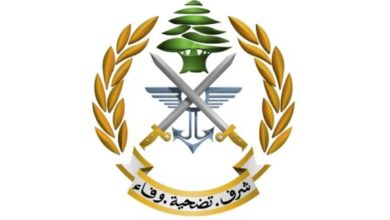 توقـ. ـيف فلسـ. ـطيني في عين الحلوة لهذا السبب