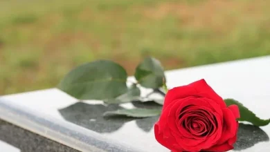 وفـ.ـاة نجم شهير عن عمر 25 عاماً... من هو؟