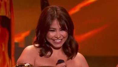 منظمو حفلة شرين في مرمى القضاء!