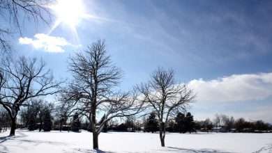 ارتفاع كبير بدرجات الحرارة إليكم تفاصيل الطقس