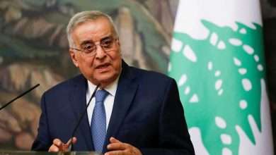 دعوة من بو حبيب تتعلق بالقرار ١٧٠١