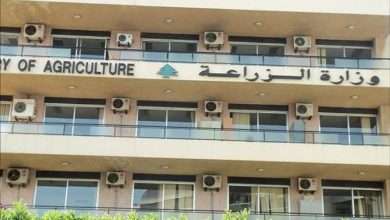 بشأن أسعار الجملة... بيان من "الزراعة"