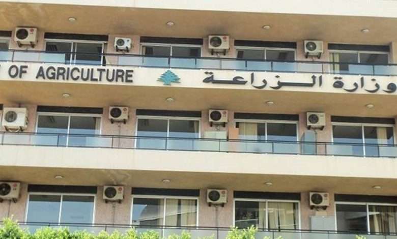 بشأن أسعار الجملة... بيان من "الزراعة"