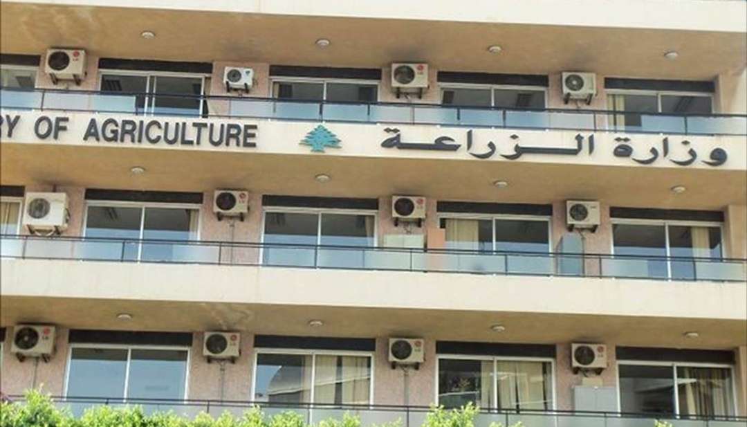 بشأن أسعار الجملة... بيان من "الزراعة"