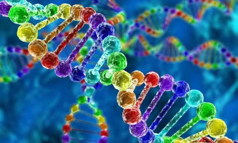 الهندسة الجينية توقع رجلا ثمانينيا في قبضة العدالة في إحدى الولايات الأميركية