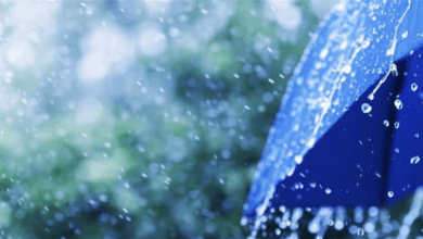 الأمطار عائدة ... والحرارة تعود الى معدلاتها حال الطقس للايام المقبلة