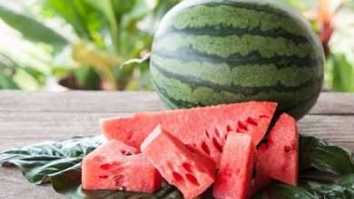 قرار من وزير الزراعة بخصوص استيراد البطيخ