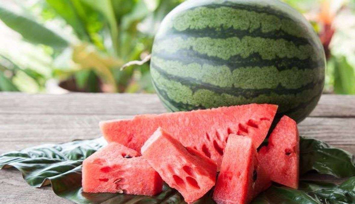 قرار من وزير الزراعة بخصوص استيراد البطيخ