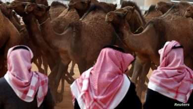 تأهّب صحي في السعودية... تعرفوا على فايروس "ميرس" الجديد!