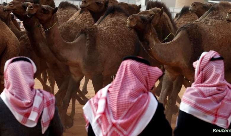 تأهّب صحي في السعودية... تعرفوا على فايروس "ميرس" الجديد!