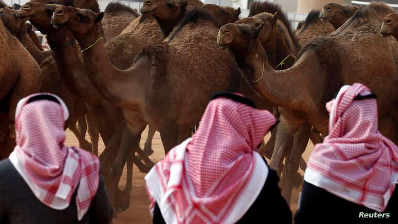 تأهّب صحي في السعودية... تعرفوا على فايروس "ميرس" الجديد!
