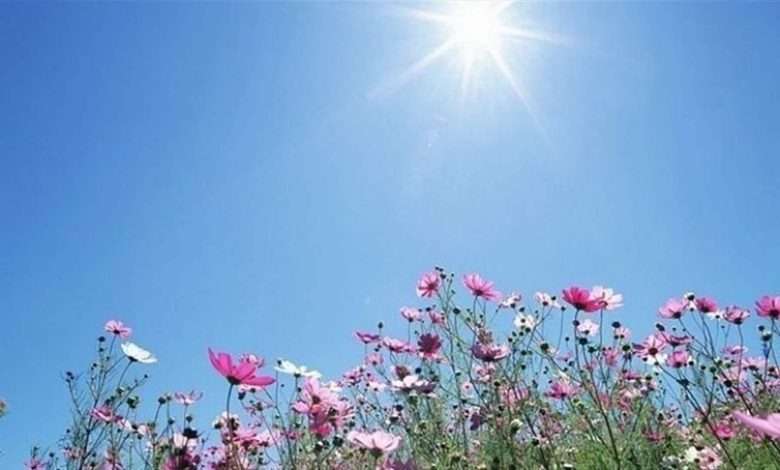 بعد المنخفض الجوي... الحرارة تتخطى عتبة الـ٣٥ درجة!