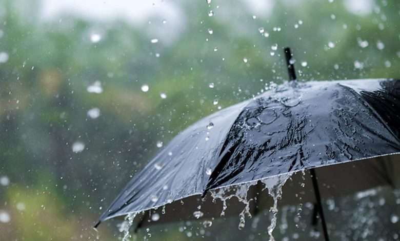 الأمطار تعود غداً الإثنين