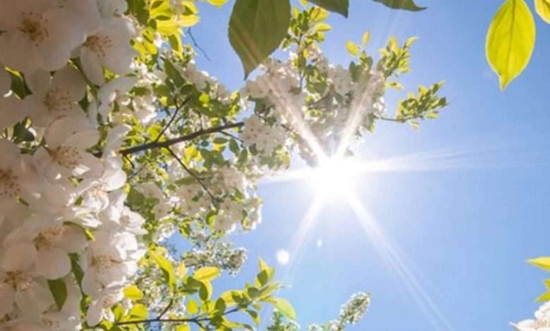 طقس صيفي بامتياز والرطوبة عالية ...إليكم تفاصيل الطقس