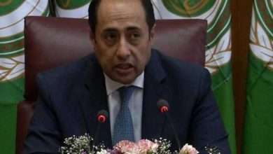 جامعة الدول العربية... هذا ما صرحت به اتجاه الحزب