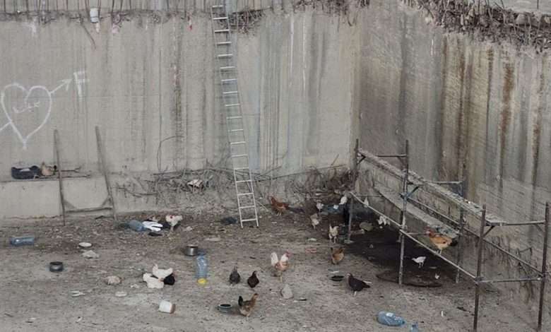 فضيحة مسبح إميل لحود إلى الواجهة من جديد