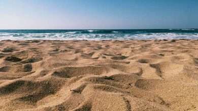 طقس صيفي حار فيما تهدأ الرياح شمالاً.... إليكم تفاصيل الطقس 