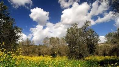 بين الأمطار والشمس... لبنان يقدّم لنا عرضًا جويًا مثيرًا!