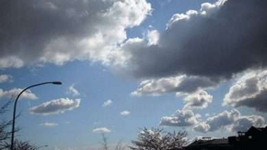 الربيع في لبنان يرحب بأمطار خفيفة وتغيرات غير مسبوقة!