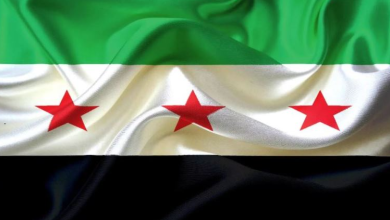 مرفأ اللاذقية يعيد كتابة قواعد اللعبة: ما القصة؟
