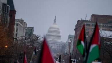 53 عامًا خلف القضبان...جـ ـريمة تهز القلوب وتحرك العدالة