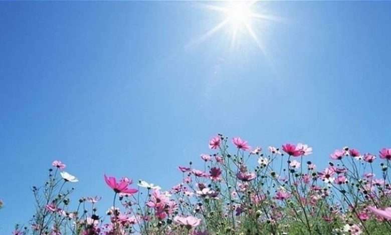 ربيع متقلب وريح ناشطة جنوبًا... ماذا في تفاصيل النشرة الجوية؟