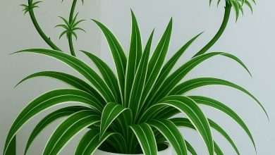 نباتات بيتك مش ديكور بس... اكتشف سرّ الهواء النقي!