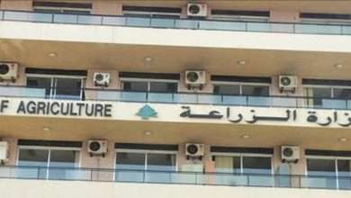 حقيقة التراخيص في رأس أسطا: بين الحفاظ على البيئة والمشاريع القانوني