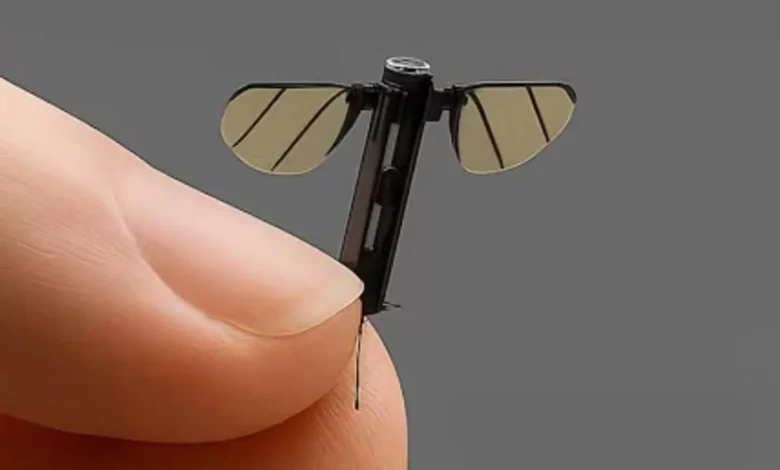 عندما تصبح الحشرات جنودًا... ولادة الاستخبارات البيولوجية