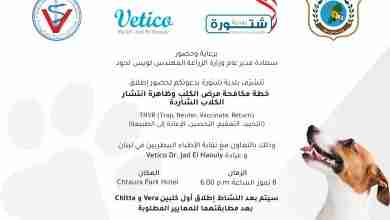 "حين تنبح الرحمة: شتورة تعيد تعريف علاقة الإنسان بالحيوان"