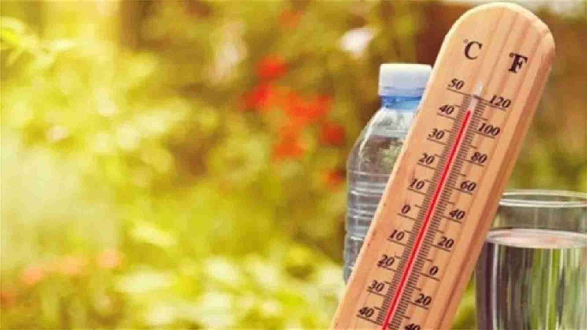 الطرقات بتقلي دجاج... والناس بتقلي أعصابها!