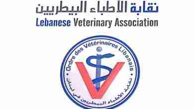 اللي بيسمّم كلب، بيواجه قانون بيعضّ!