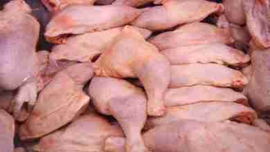 دجاج فاسد يُباع علنًا... والبلدية تتدخل بالشمع الأحمر!