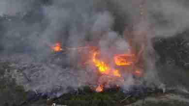 اللاذقية تحترق... والريح تُقاتل رجال الإطفاء