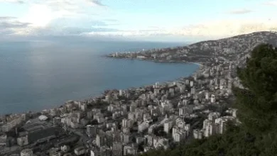 غزير تَطعن أهلها... بس الجار شو قصّتو؟